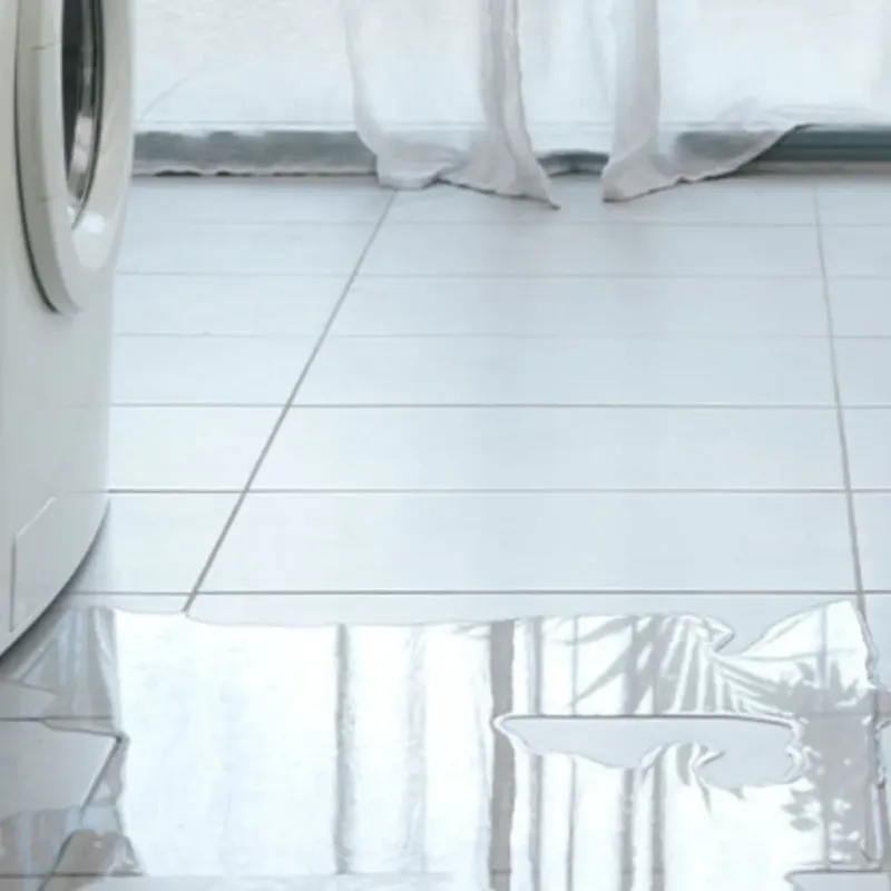 Appliance Leak Cleanup in Minnehaha, WA
