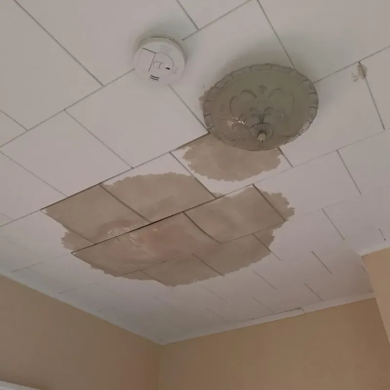 Ceiling Water Damage Repair in Minnehaha, WA